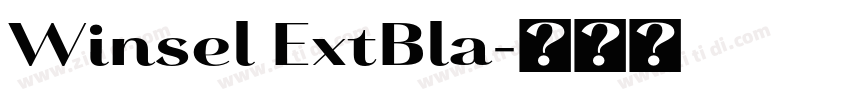 Winsel ExtBla字体转换 Winsel ExtBla字体转换